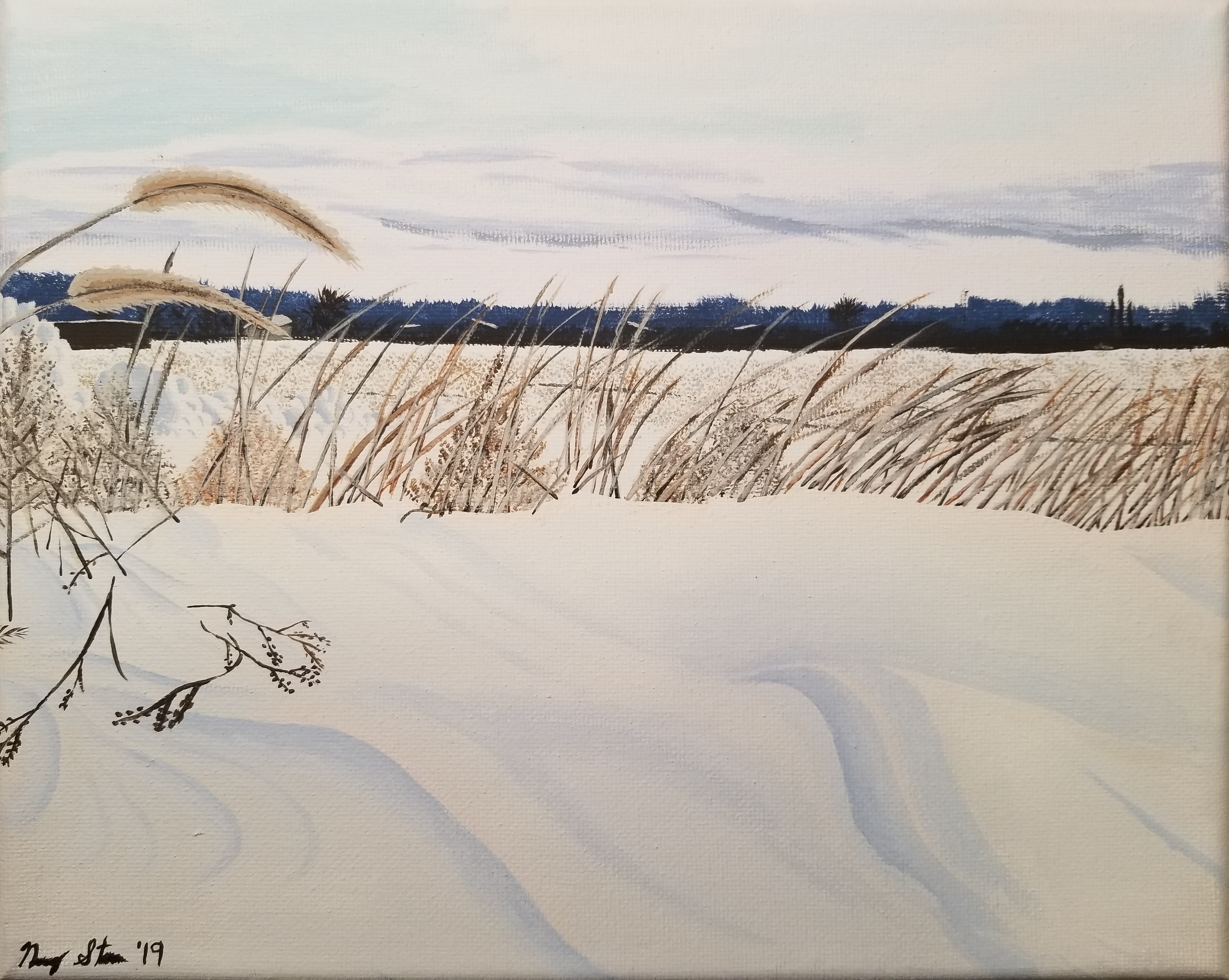 SIMPSON Snowy Field