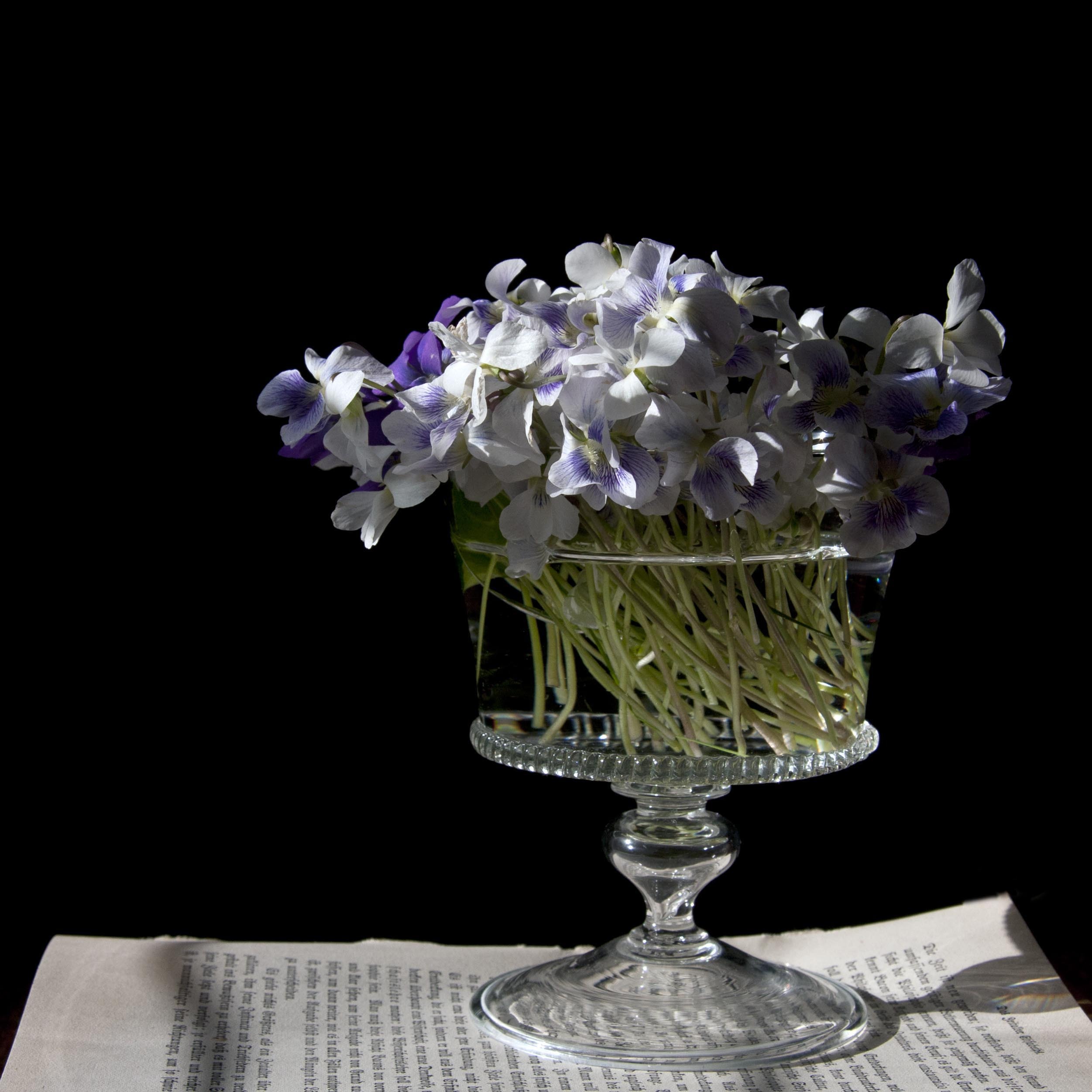Violets in Vase