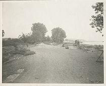 12068976 eccc 43b0 b27a 8c7969639d23 thmb