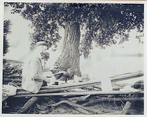 12cf47c0 0987 470e 9b40 7f1c29aa4b66 thmb