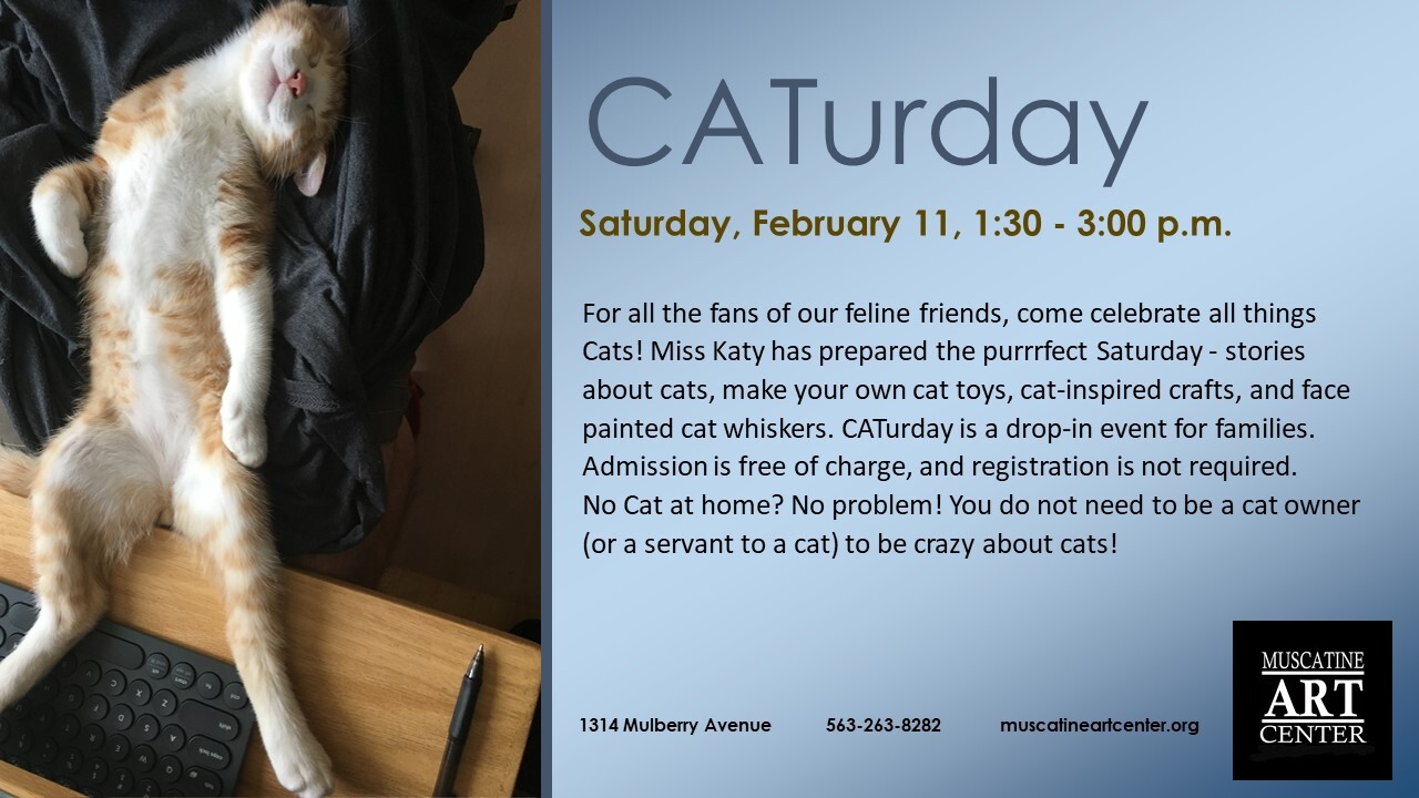 Free Family Event: CATurday - February 11 Image