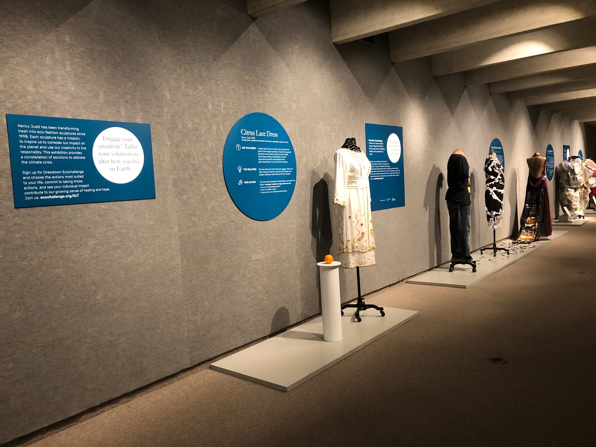 Save the Date: Two Opportunities to Meet "Alterations" Artist, Nancy Judd Image