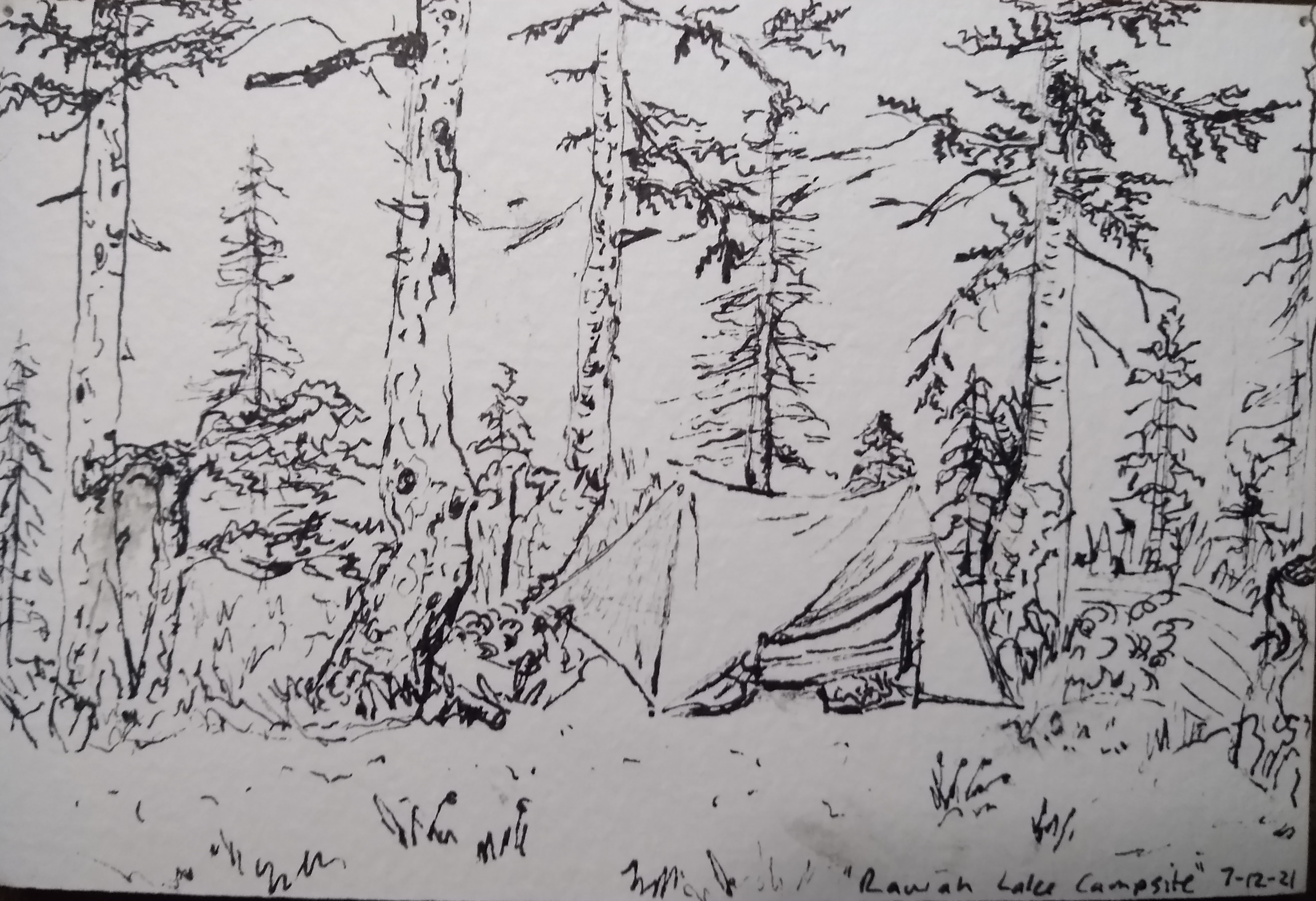 Adult Studio- Pen & Ink Drawing with Heather Seibel - November 30 (NEW DATE) Image