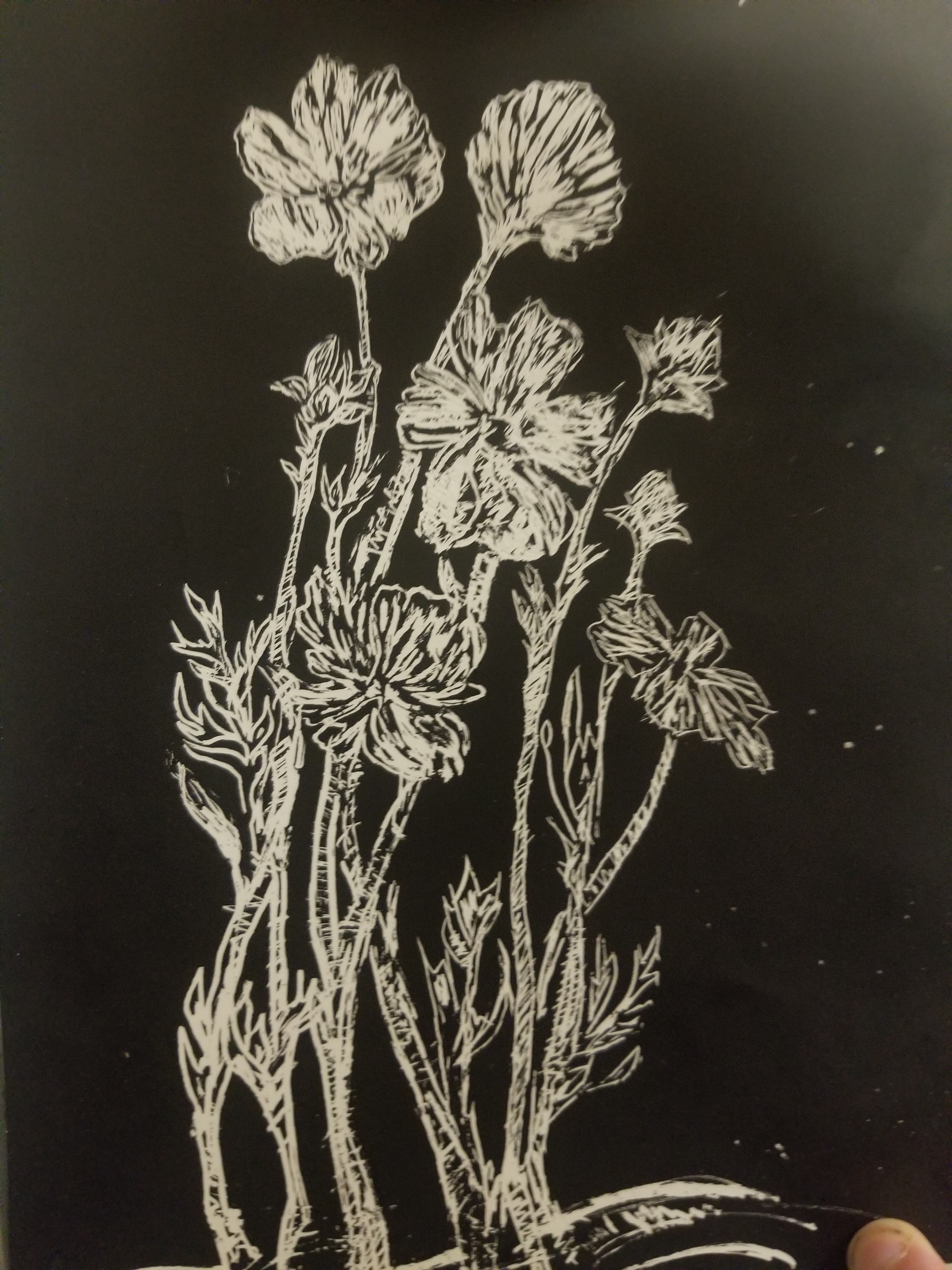 Living Proof Exhibit Creative Sessions: Scratchboard with Megan Bishop, September 9 Image