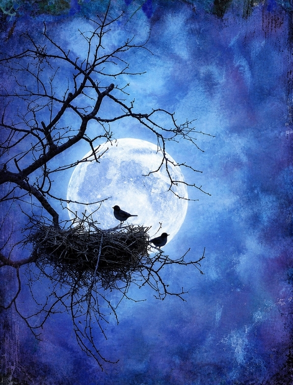 Red Barn Studio with Vada Baker - Moonlight Serenade Image