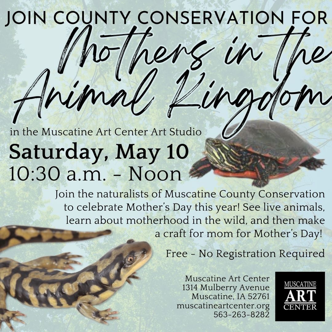 Mothers in the Animal Kingdom with Muscatine County Conservation - May 10 Image