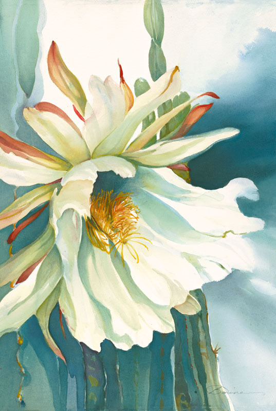 Red Barn Studio with Vada Baker- Nightingale Cactus Blossom Watercolor November 22 Image