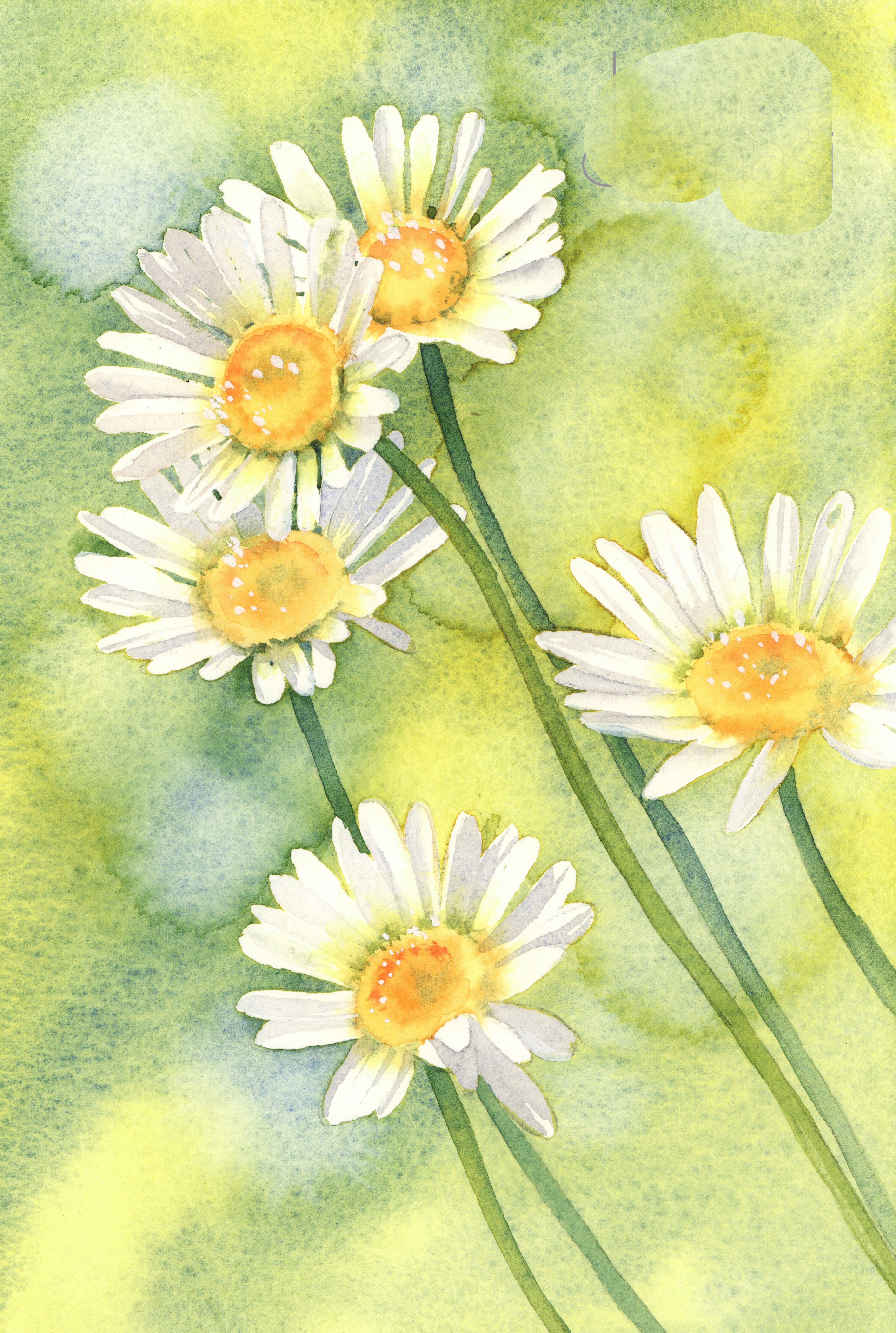 Red Barn Studio - Daisies - October 26 Image