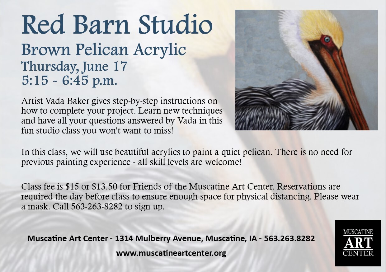 Red Barn Studio with Vada Baker- Brown Pelican Watercolor Image