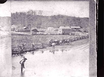 A21362be 2b56 438f ad5e 9f275ef0d994 thmb