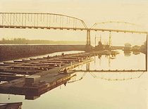 A53e7f46 96d7 49e8 8cb6 aae9d73786af thmb