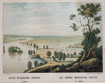 Bd77bd35 c810 4ff0 9e84 bae3eda72092 thmb