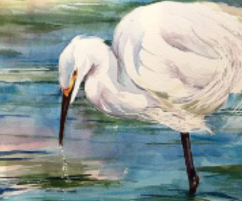 Red Barn Studio with Vada Baker- Bird in Water Acrylic Image