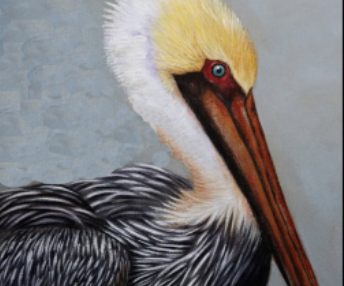 Red Barn Studio with Vada Baker- Brown Pelican Watercolor Image