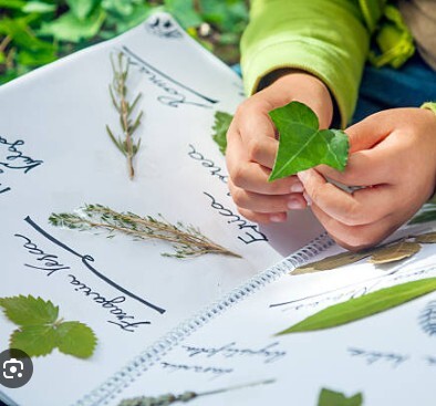 Muscatine County Conservation Visits the Japanese Garden - October4 Image