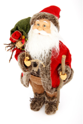 12 Days of Christmas Videos Image