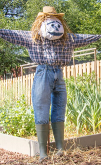Scarecrow & Jack-o-Lantern Competition October 29-November 1 Image
