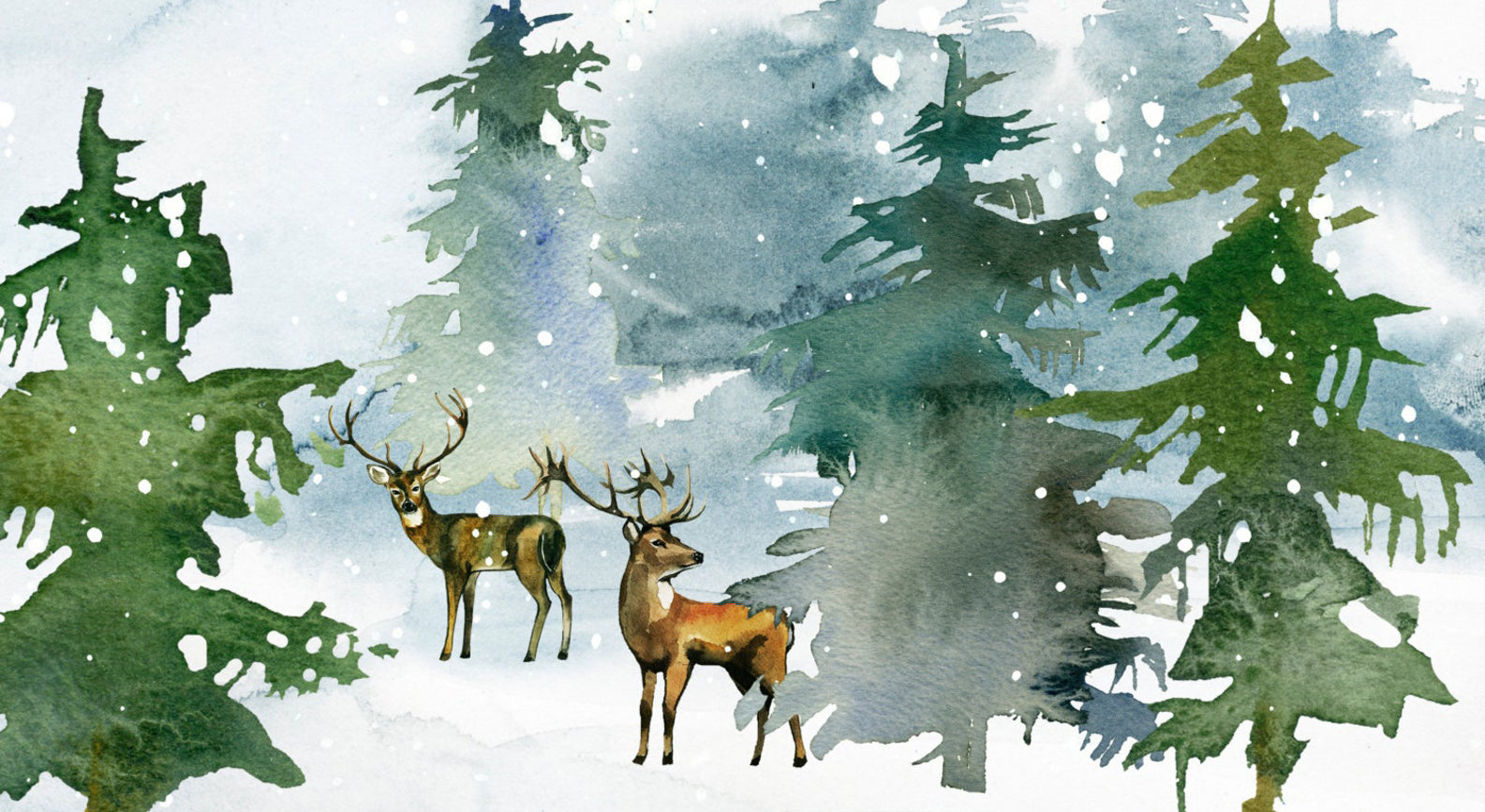 Red Barn Studio with Vada Baker- Winter Pines Watercolor November 15 Image