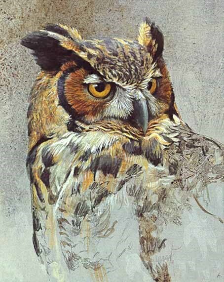Red Barn Studio with Vada Baker- Wise Old Owl Image